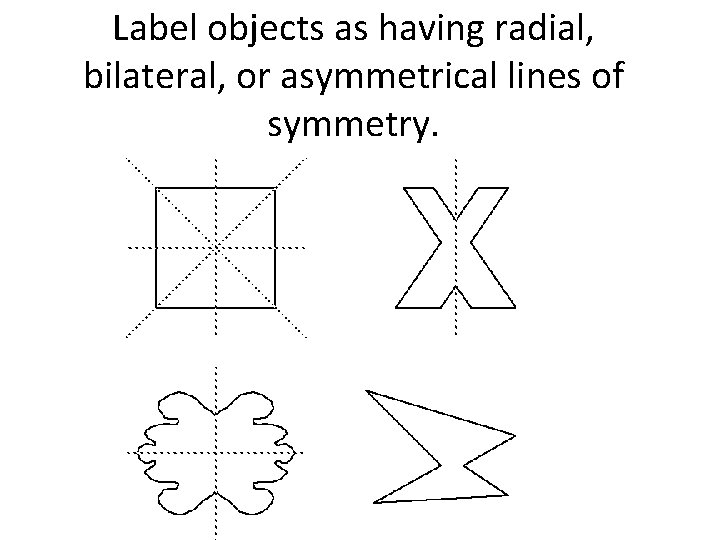 Label objects as having radial, bilateral, or asymmetrical lines of symmetry. Label objects as having radial, bilateral, or asymmetrical lines of symmetry.