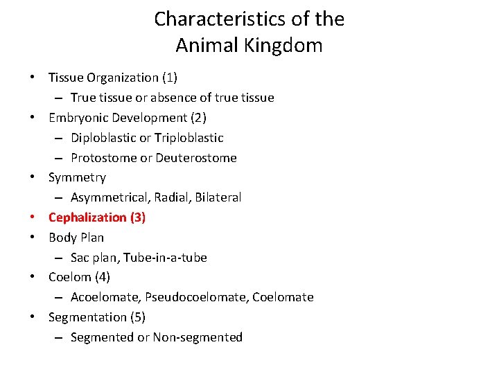 Characteristics of the Animal Kingdom • Tissue Organization (1) – True tissue or absence Characteristics of the Animal Kingdom • Tissue Organization (1) – True tissue or absence