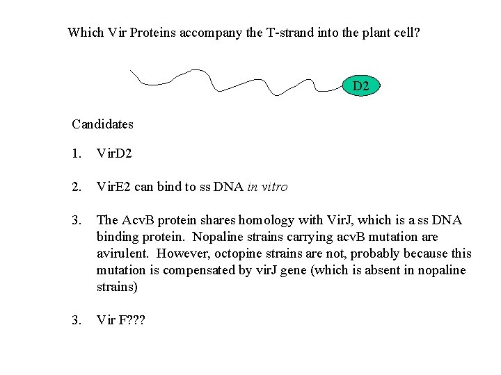 Which Vir Proteins accompany the T-strand into the plant cell? D 2 Candidates 1.