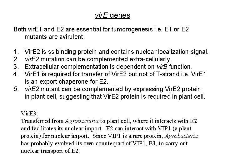 vir. E genes Both vir. E 1 and E 2 are essential for tumorogenesis