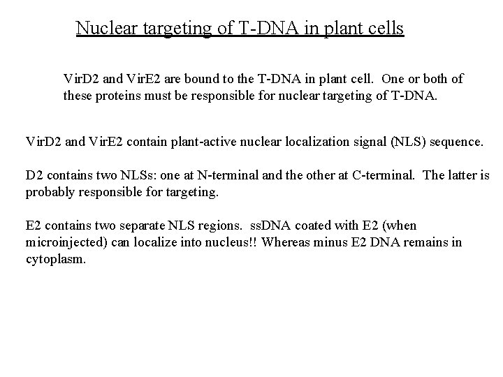 Nuclear targeting of T-DNA in plant cells Vir. D 2 and Vir. E 2