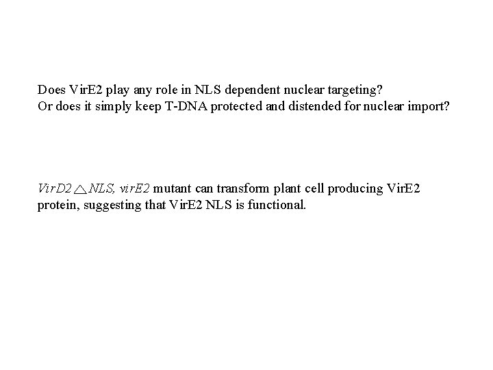 Does Vir. E 2 play any role in NLS dependent nuclear targeting? Or does