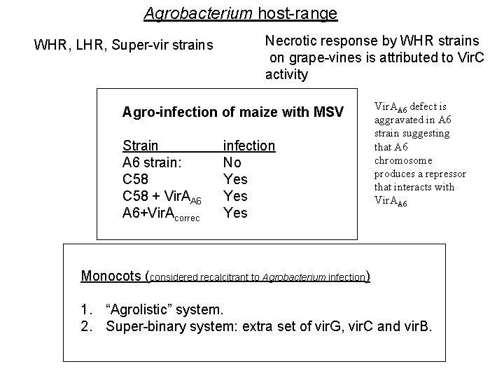 Agrobacterium host-range WHR, LHR, Super-vir strains Necrotic response by WHR strains on grape-vines is