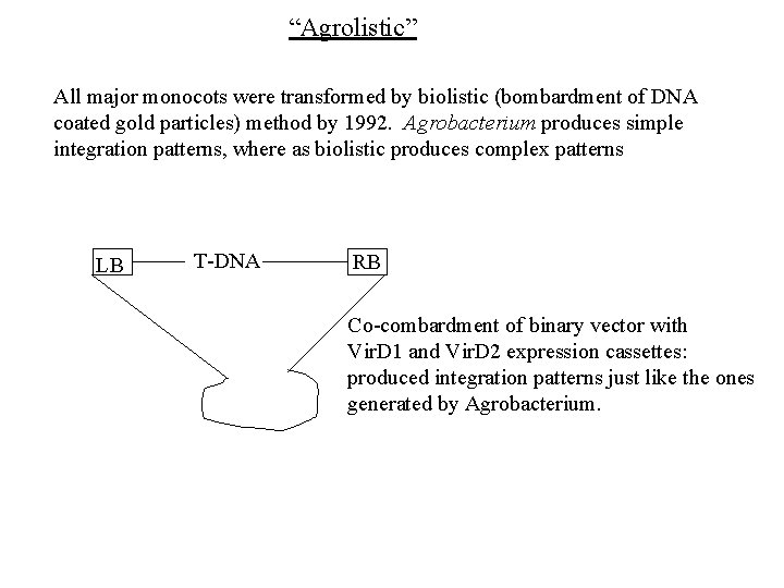 “Agrolistic” All major monocots were transformed by biolistic (bombardment of DNA coated gold particles)