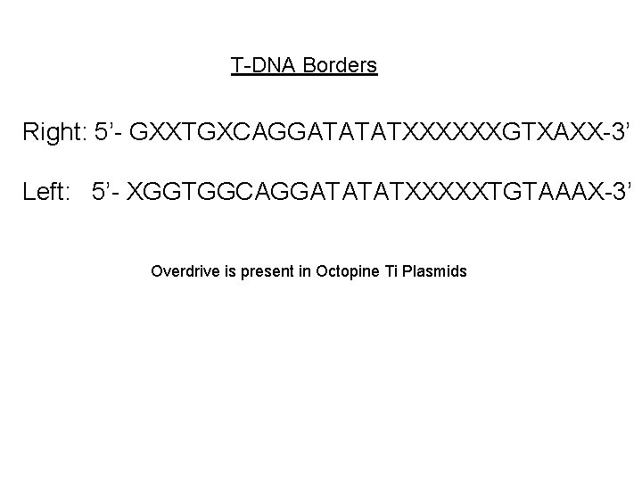 T-DNA Borders Right: 5’- GXXTGXCAGGATATATXXXXXXGTXAXX-3’ Left: 5’- XGGTGGCAGGATATATXXXXXTGTAAAX-3’ Overdrive is present in Octopine Ti