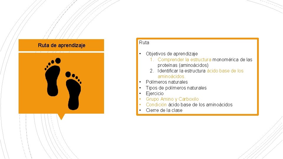 Ruta de aprendizaje Ruta • • Objetivos de aprendizaje 1. Comprender la estructura monomérica