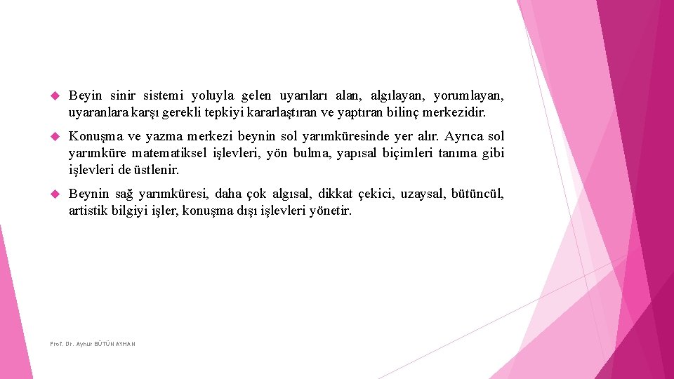 Beyin sinir sistemi yoluyla gelen uyarıları alan, algılayan, yorumlayan, uyaranlara karşı gerekli tepkiyi