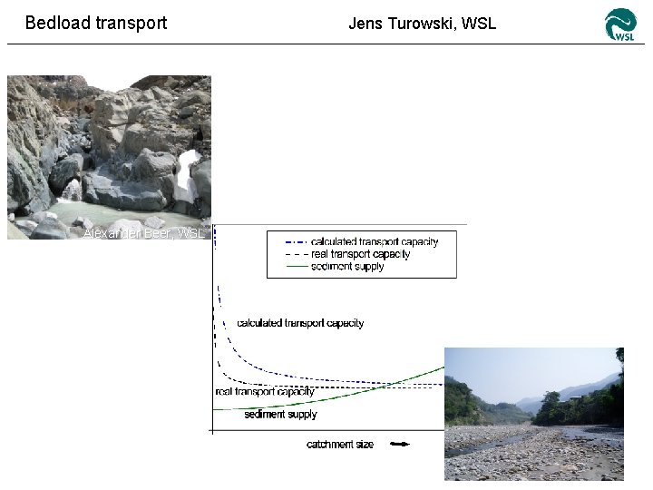 Bedload transport Sediment supply Alexander Beer, WSL Jens Turowski, WSL 
