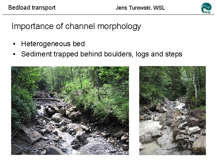 Bedload transport Jens Turowski, WSL Importance of channel morphology • Heterogeneous bed • Sediment