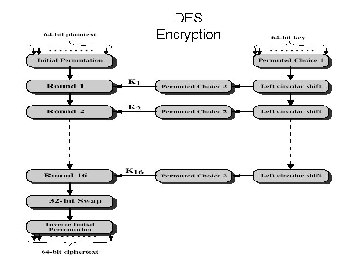 DES Encryption 