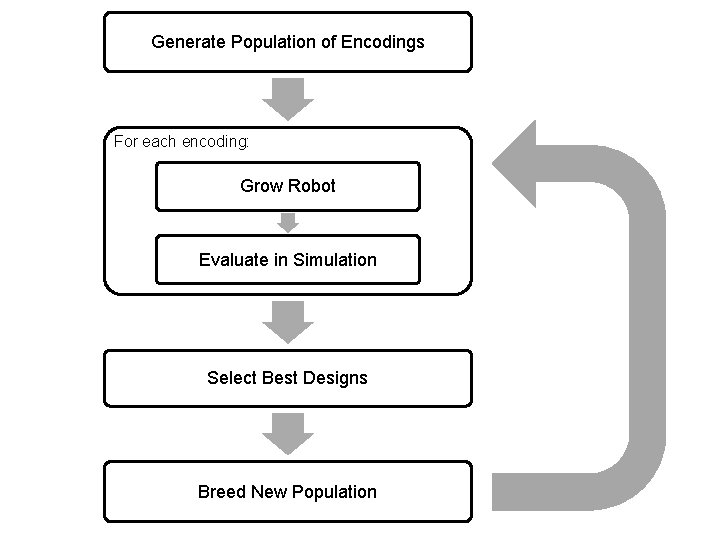 Generate Population of Encodings For each encoding: Grow Robot Evaluate in Simulation Select Best