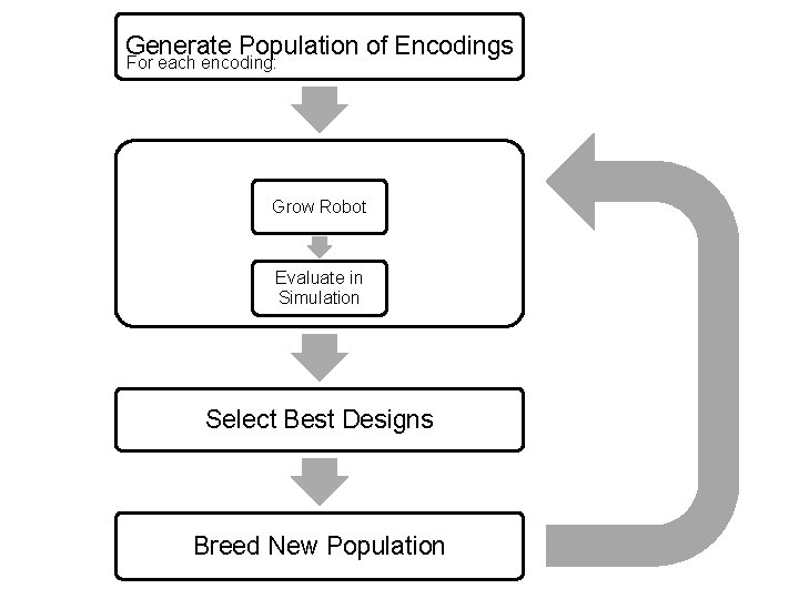 Generate Population of Encodings For each encoding: Grow Robot Evaluate in Simulation Select Best