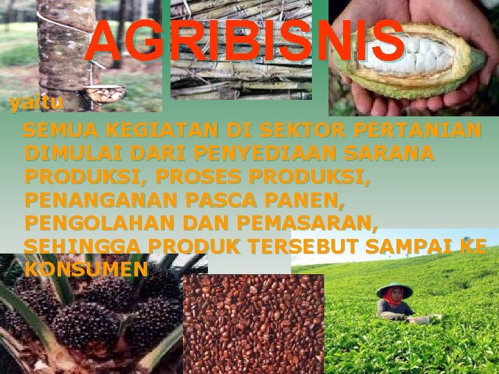 AGRIBISNIS yaitu SEMUA KEGIATAN DI SEKTOR PERTANIAN DIMULAI DARI PENYEDIAAN SARANA PRODUKSI, PROSES PRODUKSI,