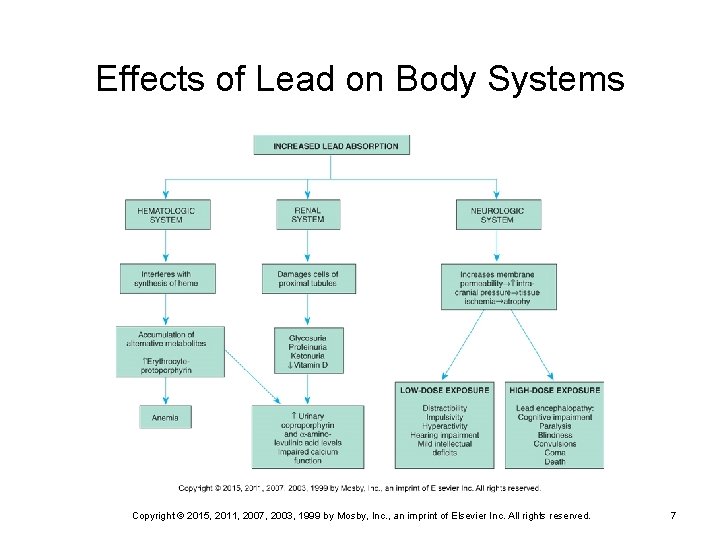 Effects of Lead on Body Systems Copyright © 2015, 2011, 2007, 2003, 1999 by