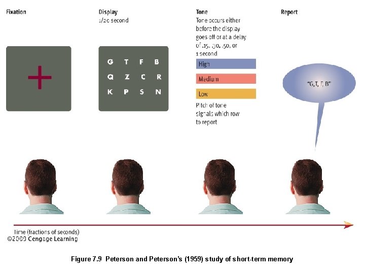 Figure 7. 9 Peterson and Peterson’s (1959) study of short-term memory 