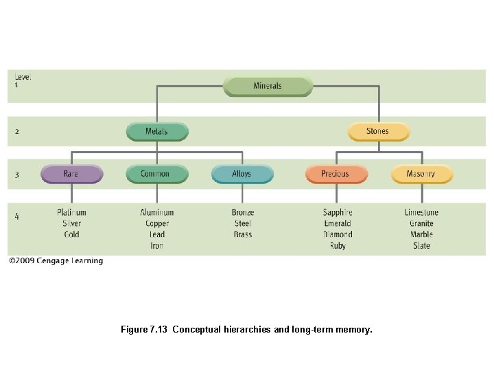 Figure 7. 13 Conceptual hierarchies and long-term memory. 