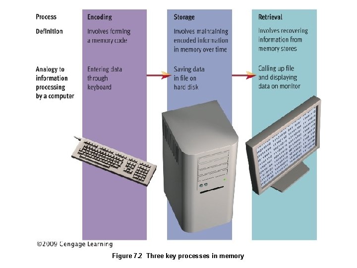 Figure 7. 2 Three key processes in memory 