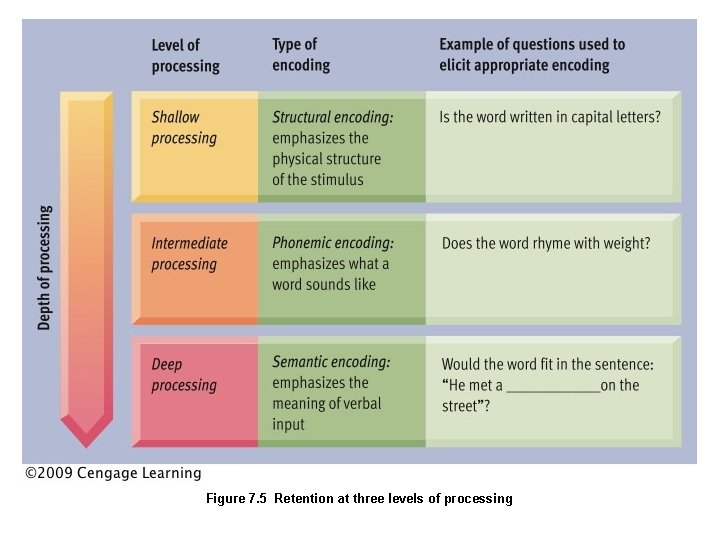 Figure 7. 5 Retention at three levels of processing 