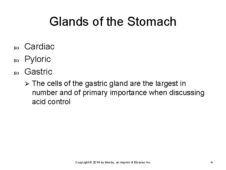 Glands of the Stomach Cardiac Pyloric Gastric Ø The cells of the gastric gland