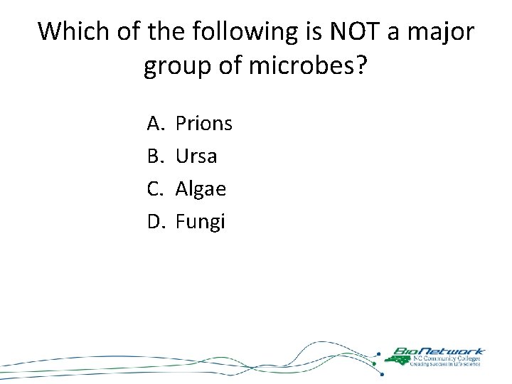 Which of the following is NOT a major group of microbes? A. B. C.