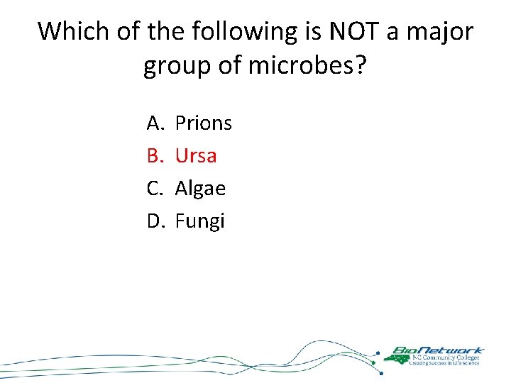 Which of the following is NOT a major group of microbes? A. B. C.