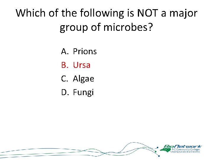 Which of the following is NOT a major group of microbes? A. B. C.