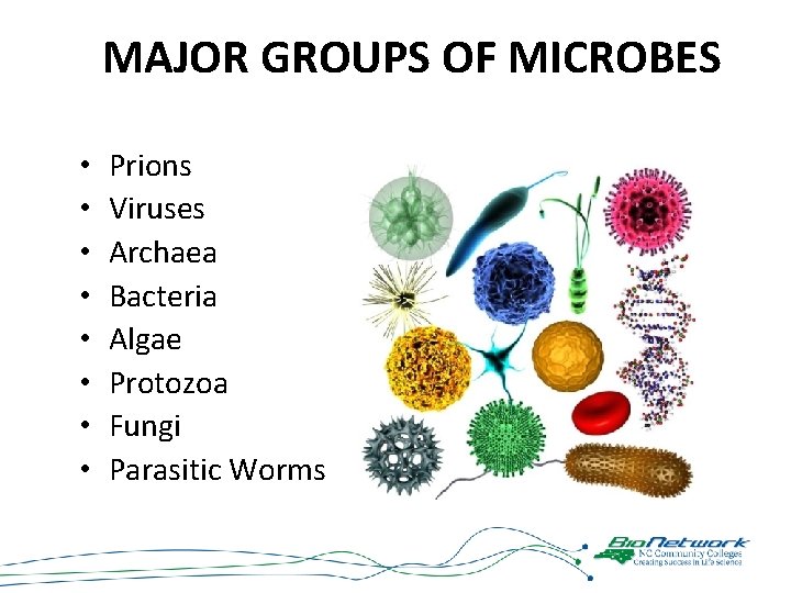 MAJOR GROUPS OF MICROBES • • Prions Viruses Archaea Bacteria Algae Protozoa Fungi Parasitic