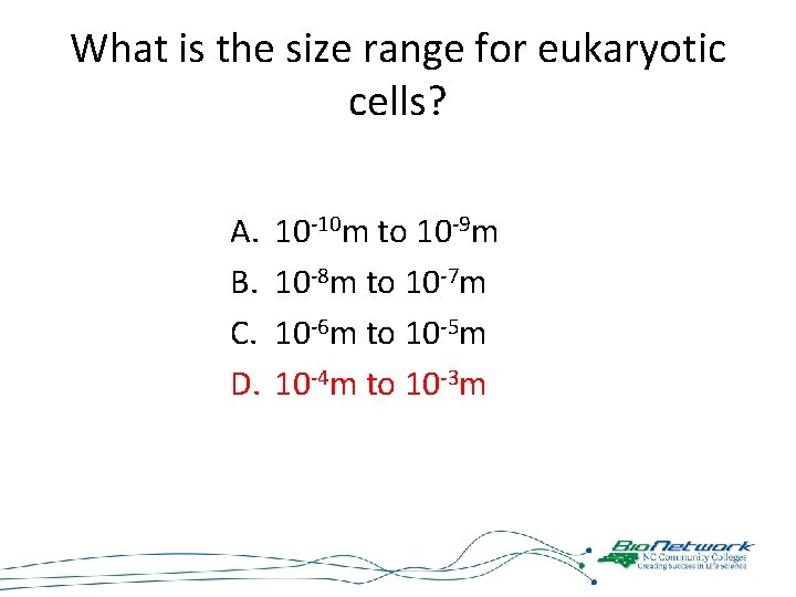 What is the size range for eukaryotic cells? A. B. C. D. 10 -10