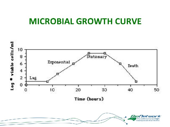 MICROBIAL GROWTH CURVE 