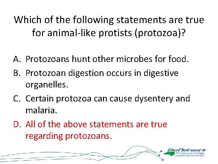 Which of the following statements are true for animal-like protists (protozoa)? A. Protozoans hunt