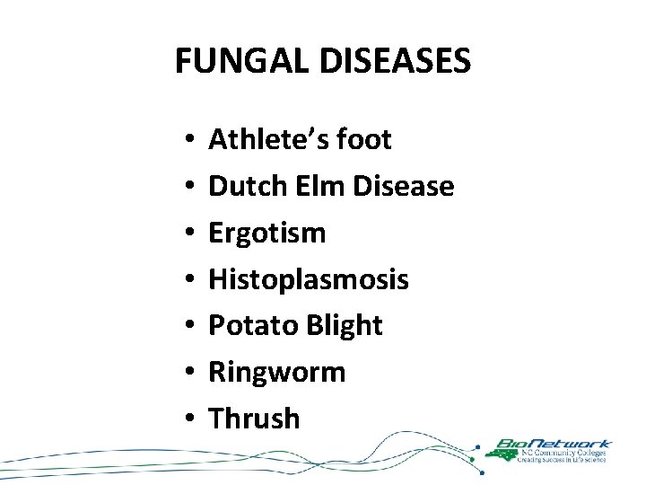 FUNGAL DISEASES • • Athlete’s foot Dutch Elm Disease Ergotism Histoplasmosis Potato Blight Ringworm