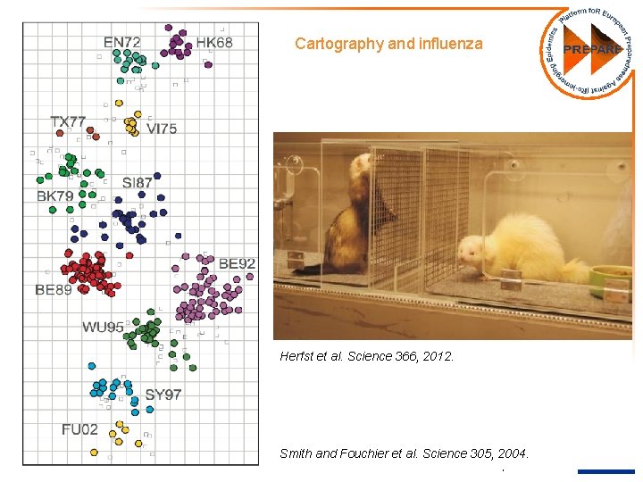 Cartography and influenza Herfst et al. Science 366, 2012. Funded by the European Union