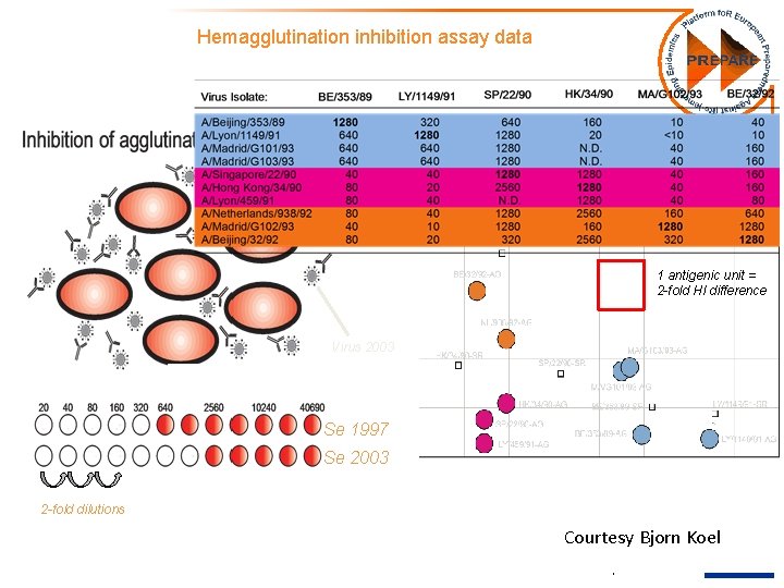 Hemagglutination inhibition assay data 1 antigenic unit = 2 -fold HI difference Virus 2003