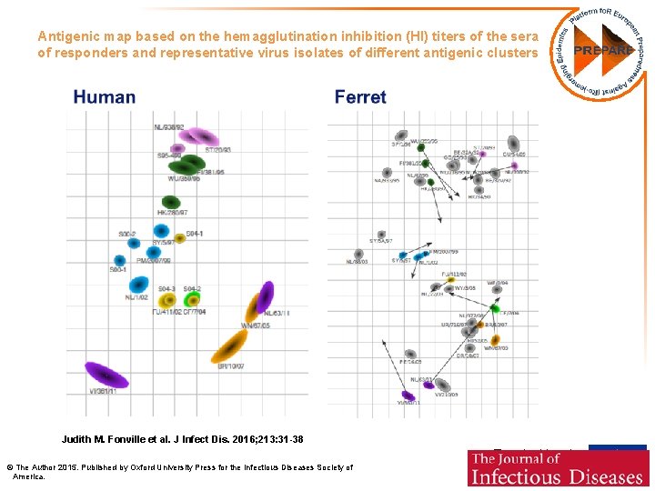 Antigenic map based on the hemagglutination inhibition (HI) titers of the sera of responders