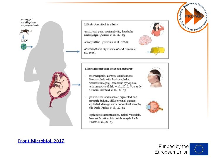 Front Microbiol. 2017 Funded by the European Union 