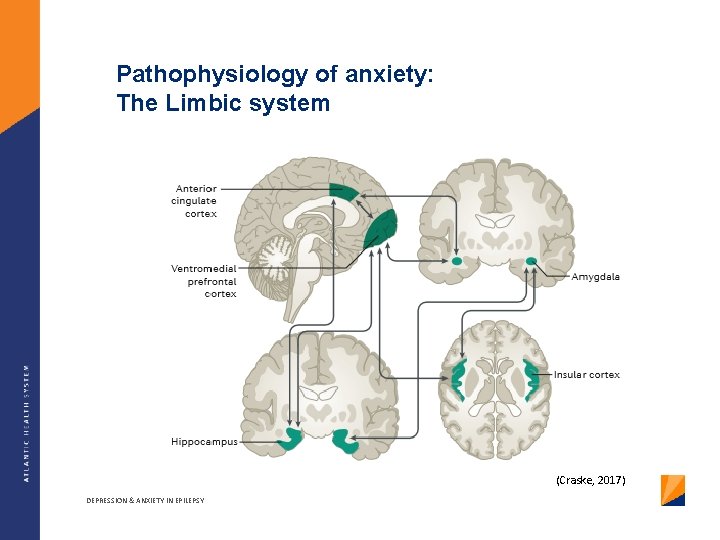 Pathophysiology of anxiety: The Limbic system (Craske, 2017) DEPRESSION & ANXIETY IN EPILEPSY 