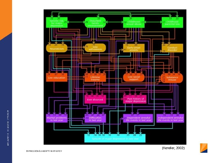 DEPRESSION & ANXIETY IN EPILEPSY (Kendler, 2002) 