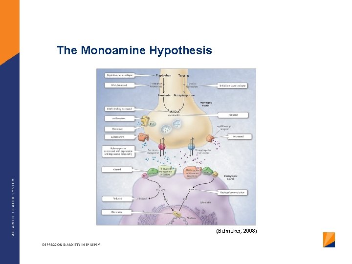 The Monoamine Hypothesis (Belmaker, 2008) DEPRESSION & ANXIETY IN EPILEPSY 