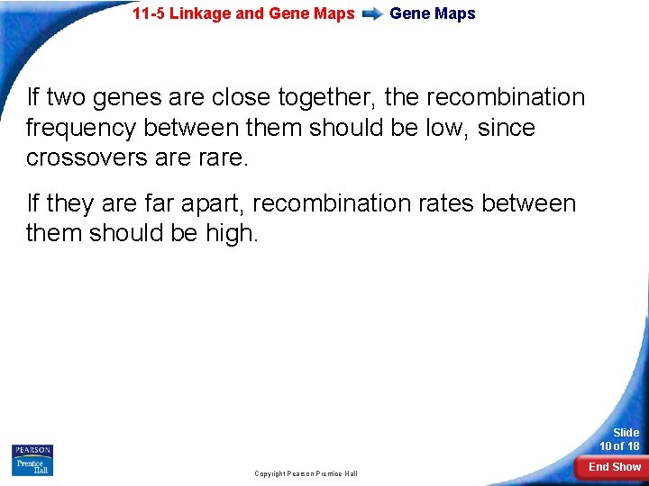 11 -5 Linkage and Gene Maps If two genes are close together, the recombination