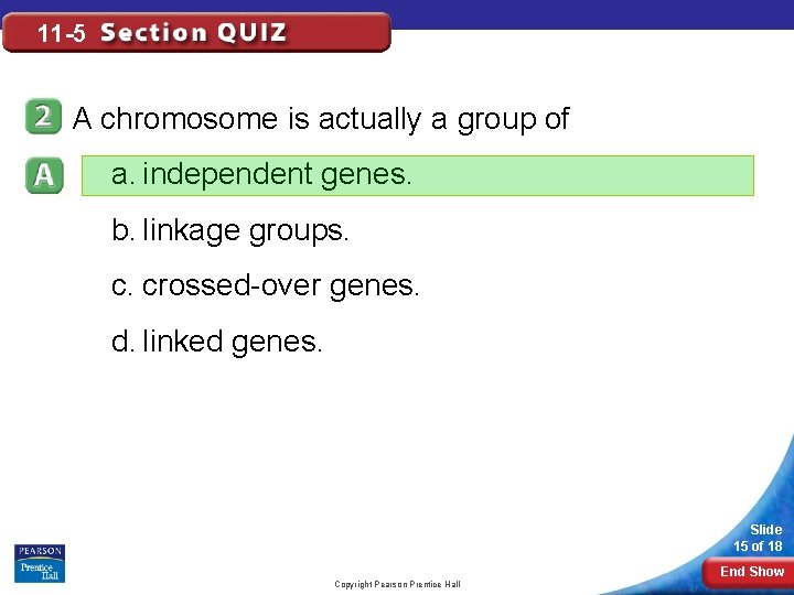11 -5 A chromosome is actually a group of a. independent genes. b. linkage