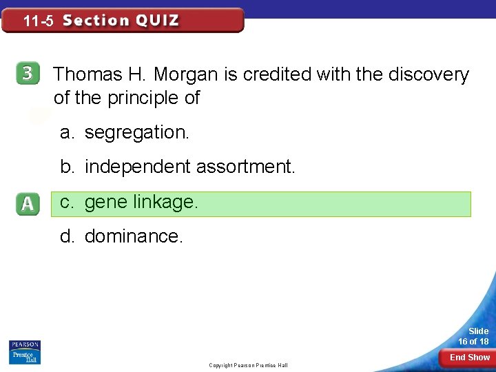 11 -5 Thomas H. Morgan is credited with the discovery of the principle of