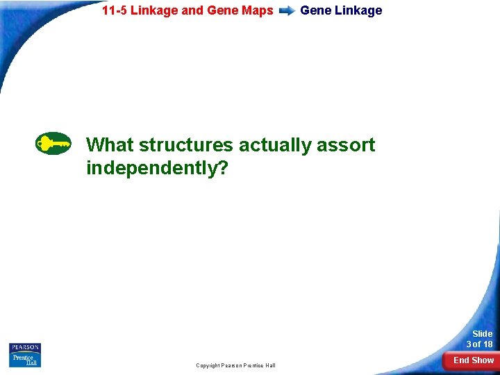 11 -5 Linkage and Gene Maps Gene Linkage What structures actually assort independently? Slide