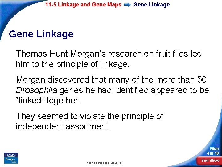 11 -5 Linkage and Gene Maps Gene Linkage Thomas Hunt Morgan’s research on fruit