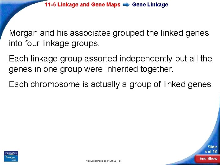 11 -5 Linkage and Gene Maps Gene Linkage Morgan and his associates grouped the