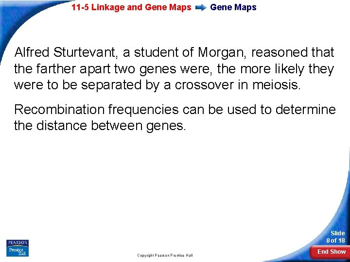 11 -5 Linkage and Gene Maps Alfred Sturtevant, a student of Morgan, reasoned that