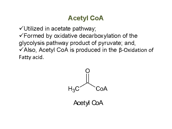 Acetyl Co. A üUtilized in acetate pathway; üFormed by oxidative decarboxylation of the glycolysis