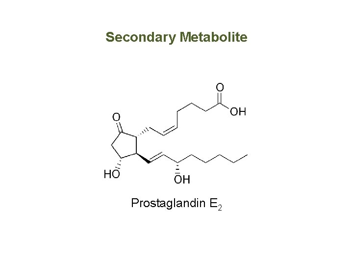 Secondary Metabolite Prostaglandin E 2 