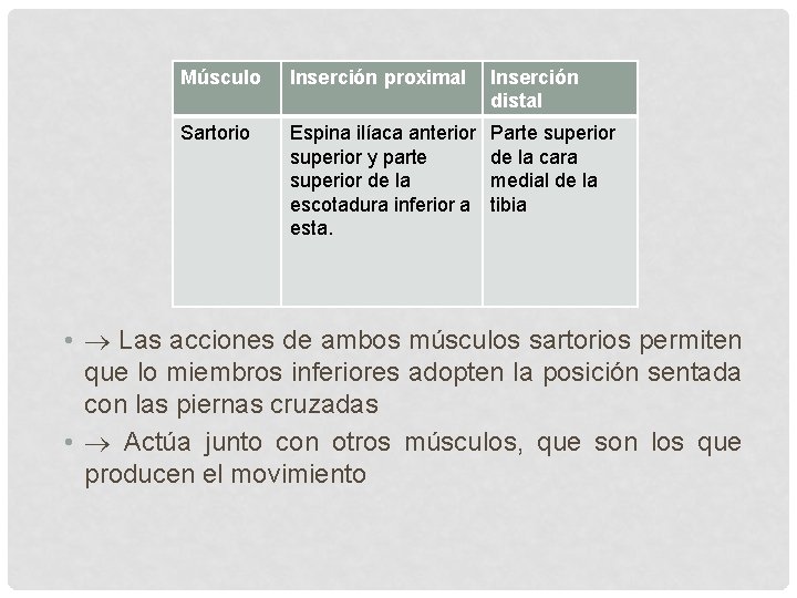 Músculo Inserción proximal Inserción distal Sartorio Espina ilíaca anterior superior y parte superior de