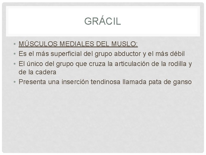 GRÁCIL • MÚSCULOS MEDIALES DEL MUSLO: • Es el más superficial del grupo abductor