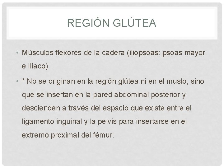 REGIÓN GLÚTEA • Músculos flexores de la cadera (iliopsoas: psoas mayor e ilíaco) •